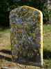 Charles Little Dame gravestone