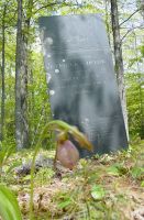 Betfield Sawyer gravestone (with lady slipper)