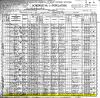 Winslow Noyes - 1900 Burr Oak, Kansas census page 1