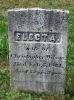 Electa (Lang) Wilson gravestone