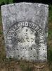 Sophia Hol[d]brook gravestone