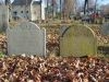 Colonel Joshua & Elizabeth (Johnson) Bayley gravestones