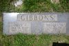 Owen F. & Marian M. (Noyes) Gibbons footstone