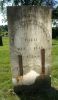 Mehitable Haseltine gravestone