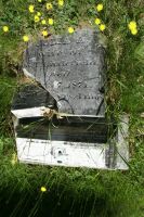 Julia Anna (Phillips) Littlefield gravestone