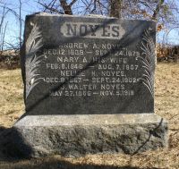 Andrew A. Noyes monument