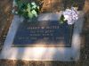 Harry W. Noyes gravestone