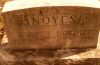 Mahlon Stacey & Luvina Ann (Purl) Noyes gravestone