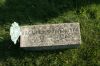 Oscar Linwood Noyes gravestone