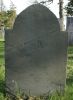 Samuel W. Noyes gravestone