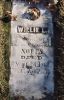 Willie L. Noyes gravestone