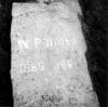 Walter Palmer gravestone